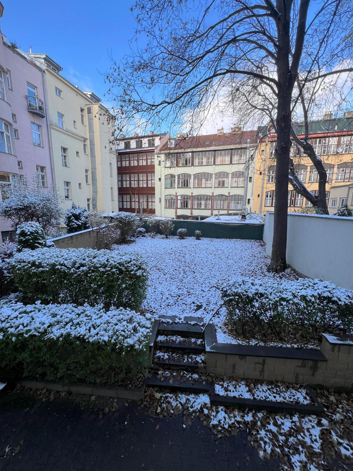 Cozy Garden Apartment In The Heart Of Прага Екстер'єр фото